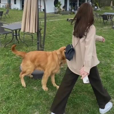 对付弱者 海报