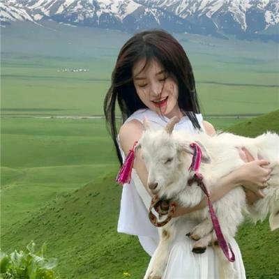 不幸之家 海报